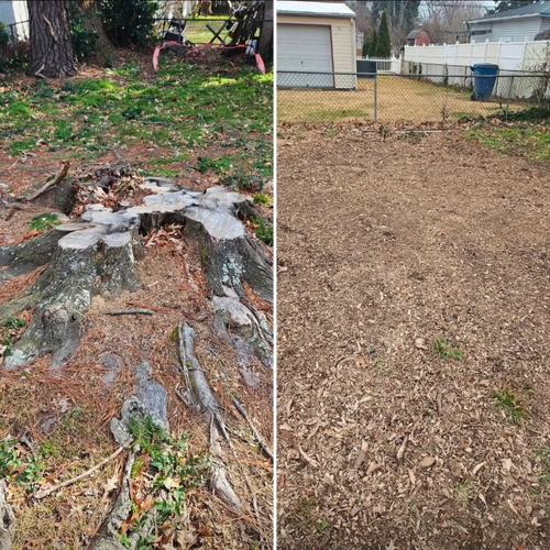 Stump Grinding for Anchor & Grind Stump in Chesapeake, VA