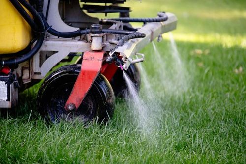 Fertilizer Program for Pungitore Landscapes, Irrigation & Fertilizer in Hingham, MA