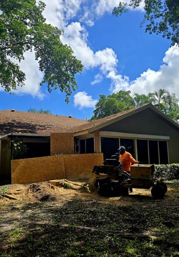 All Photos for Bridgewater Arbor Care LLC in Jupiter, FL