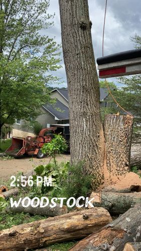 Tree Removal for Gray’s Tree Service Inc in Maurertown, VA
