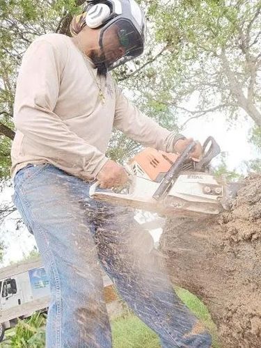 Tree Removal for Braun Tree Service in Cameron, TX