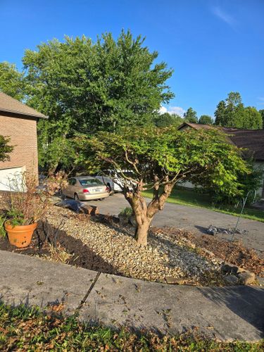  for Williams Lawn and Land in Sharps Chapel, TN