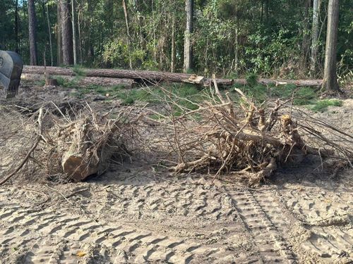 Spring and Fall Clean Up for K & A Landscaping, Inc. in Jacksonville, FL