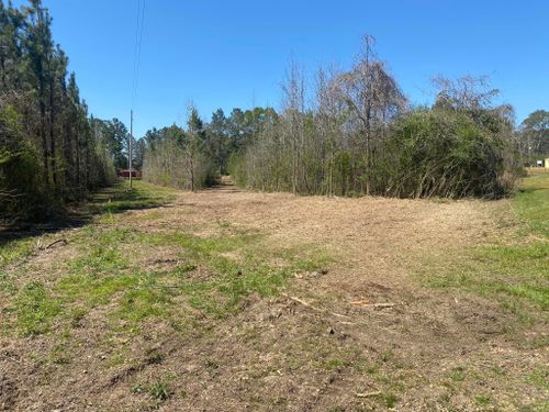 Tree Trimming & Removal for South Mississippi Land Management LLC in Columbia, Mississippi