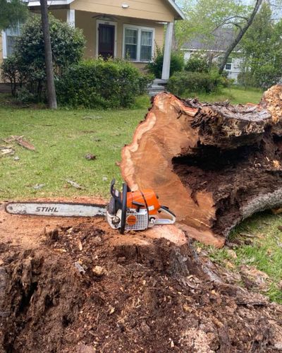 Tree Removal for Pinedown LLC in Cherokee County, GA