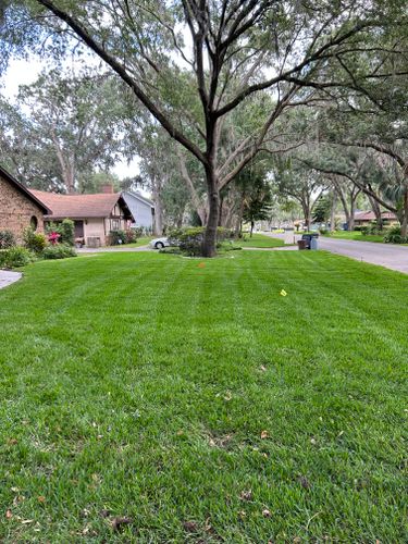 All Photos for Estrada All Pro Lawn Service in Auburndale, Florida