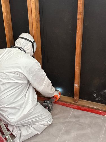 Mold Remediation for ACM Environmental in Salt Lake City, UT