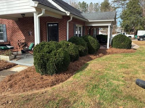 Landscape Design for Palmetto State Landscaping in Gaffney, SC