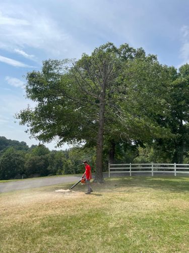 Fall and Spring Clean Up for Atwood’s Tree Care in Liberty,  KY