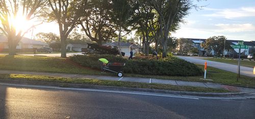 All Photos for Gratsch Landscaping and Tree Trimming llc in Spring Hill, Florida