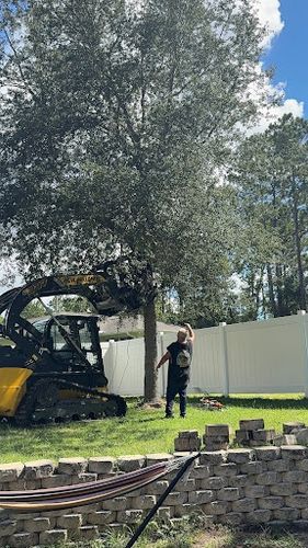 Tree Trimming & Removals for Aztec Land Destroyers LLC in Ocala, FL
