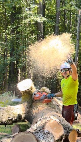  for Ascending Tree Service LLC in Kenbridge, VA