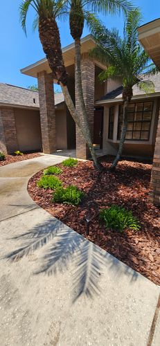 Palm Tree Installation for Tezna Landscaping, Trees & Pavers in Valrico, FL