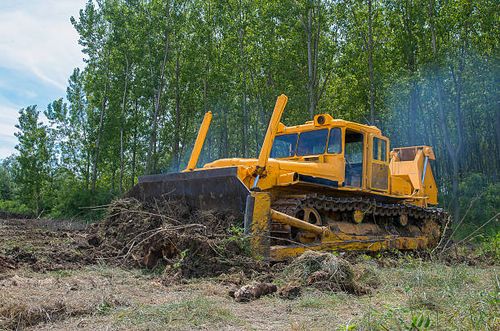 Land Clearing for ABS Construction LLC in Seymour, WI