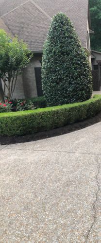 Shrub Trimming for Russell's Lawn Care Plus in Nashville, TN
