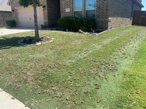 Lawn Aeration for North Texas Groundscaping in Frisco, TX