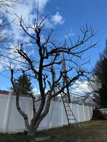  for Duncan Yard Services in Bountiful, UT