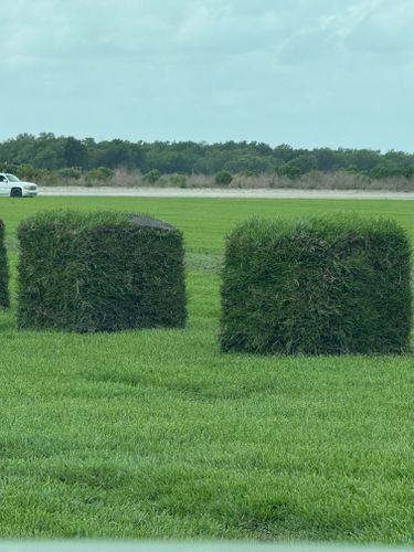 Sod installation for BH Lawn and Landscape in Fort Myers, FL