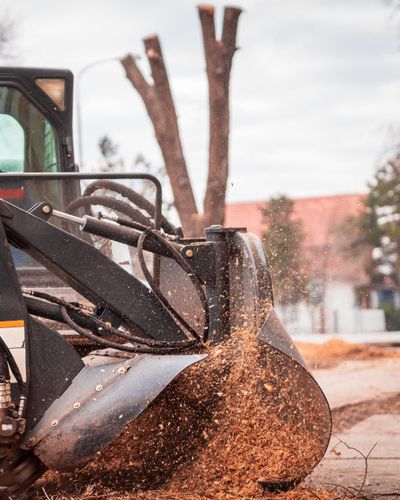  for Oakwood Tree Removal LLC in Oak Creek,  WI