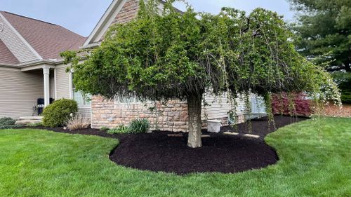 Mulch Installation for Green Stripes LLC in North Canton, OH