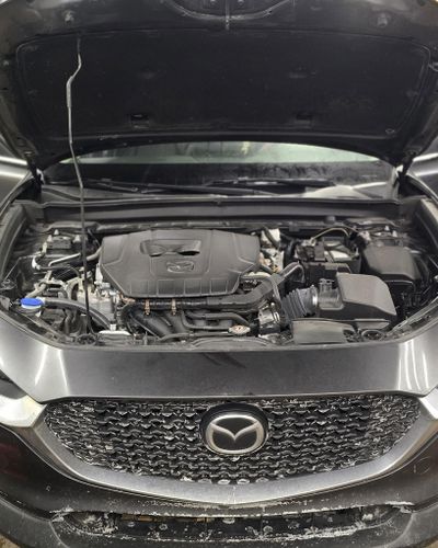 Full Detail Service for Luxury Auto Detail in Peoria, IL