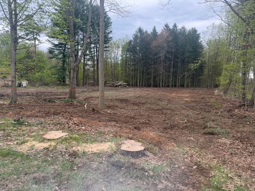 Site Preparation and Clearing for Lovenguth Logging and Tree Service in West Monroe, NY