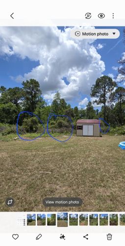 All Photos for Highlife Tree Care And Landscaping in Altamonte Springs, FL