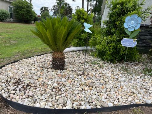 All Photos for New Creation Landscaping in Myrtle Beach, SC