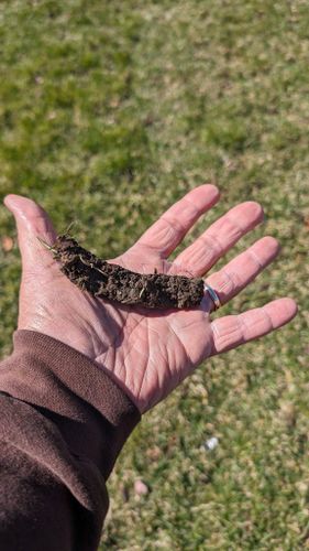  for TCB Lawn Care & Snow Removal in Sun Prairie, WI