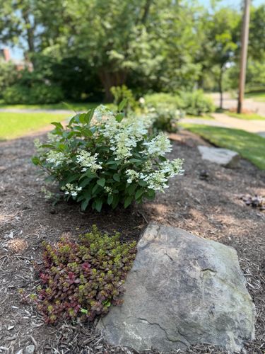 All Photos for Hillside Landscape & Design in Chesterland, OH