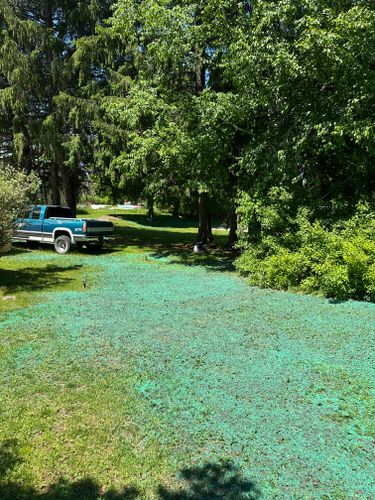 Hydroseeding Services for Northern Lawn And Landscape  in Sebec, ME