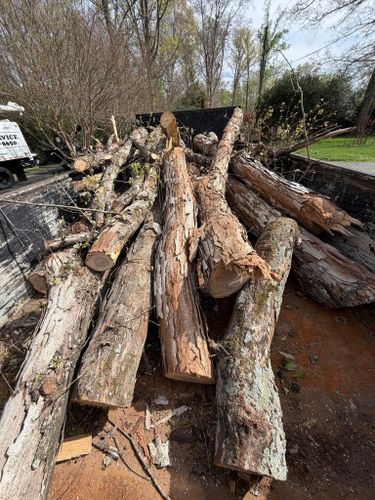All Photos for ABC Tree Service in Dobson, NC