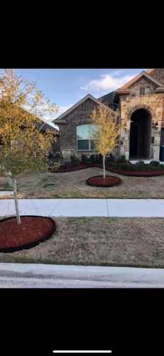  for Rustic Root in Stephenville, TX