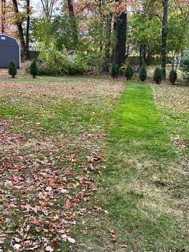Fall Clean Up for Sargent's Lawn and Property Maintenance LLC in Lambertville, MI