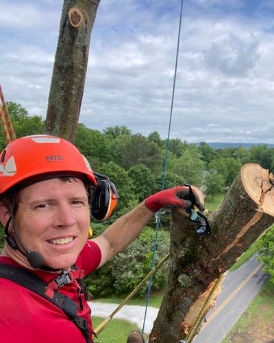 Tree Removal for Pinedown LLC in Cherokee County, GA