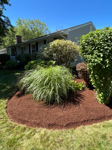  for Pronovost Landscaping & Irrigation in Palmer, MA