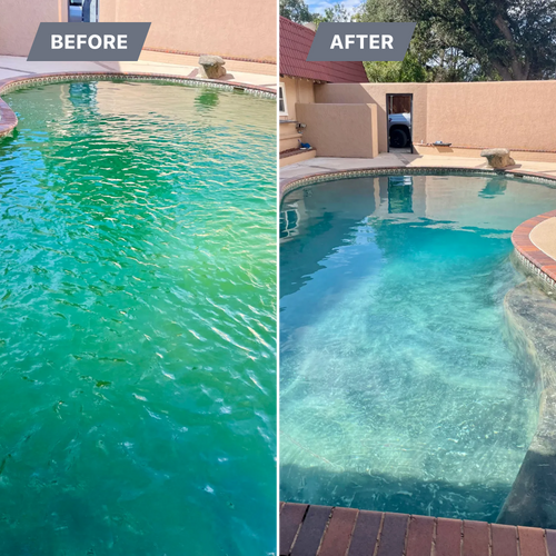 Green to Clean for Pool Serv Pro in Addison, TX