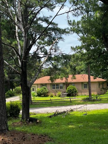 Tree Removal & Hauling for Carolina Construction Company of Columbia Inc in Columbia, SC