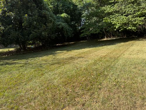 All Photos for The Yard Barbers in Somerset, KY