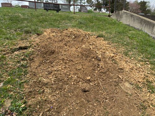 Stump Removal for Conrad's Stump Removal in Columbus, IN