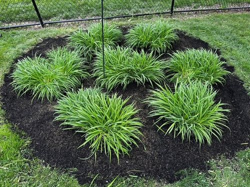 All Photos for A&H Property Solutions LLC in Florence, KY