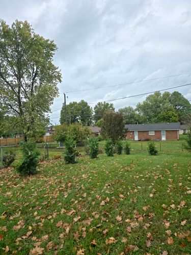  for Nicholson Lawn Care in Jeffersonville, IN