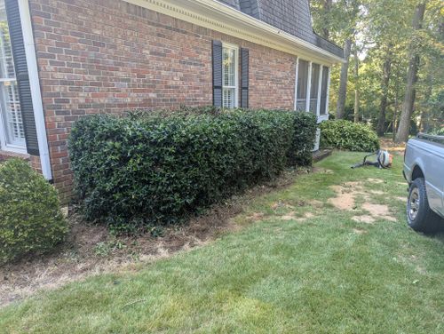  for Fantastic Lawn Care LLC in Fayetteville, GA