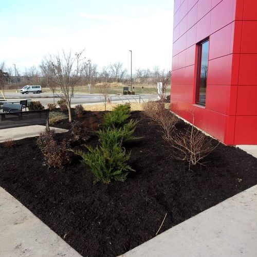 Tree And Shrub Maintenance for K&R Landscaping - Residential in Hamilton, OH