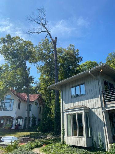 Shrub Trimming for SMITHs Tree Service in Columbus, IN