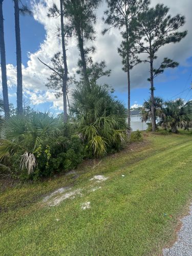 Lawn Maintenance for Rize N’ Grind  in Punta Gorda, FL