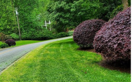 Shrub Trimming for L & C Landscaping in Statesville, NC