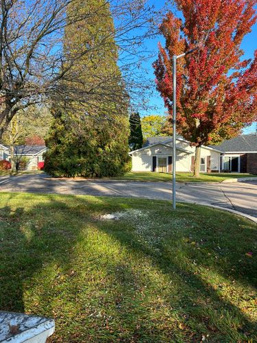 Stump Removal for Fransen's Tree Service  in Freeport, IL