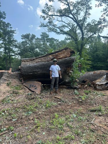  for ArborMax in Thomaston, GA