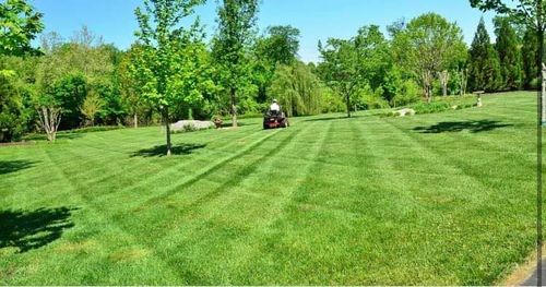 Mowing for Cowboys Lawn Care & Pressure/Soft Washing in Carrollton, Georgia